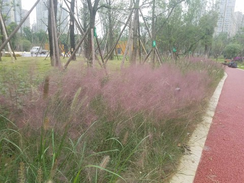 我爱牛股6: 重组并购新规利好创业板之分析 创