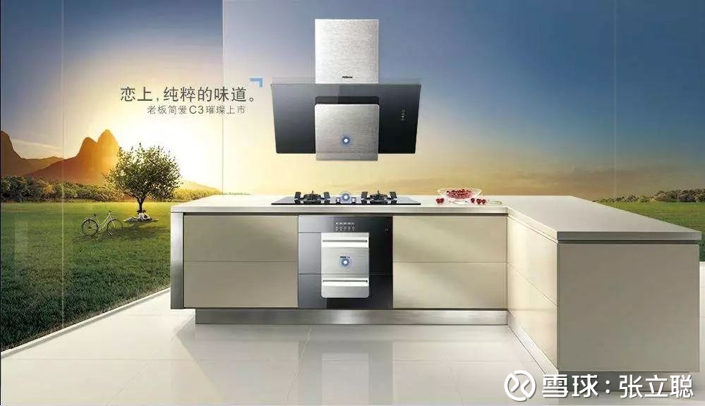 张立聪: 老板电器:地产压力仍在 安信证券 家电