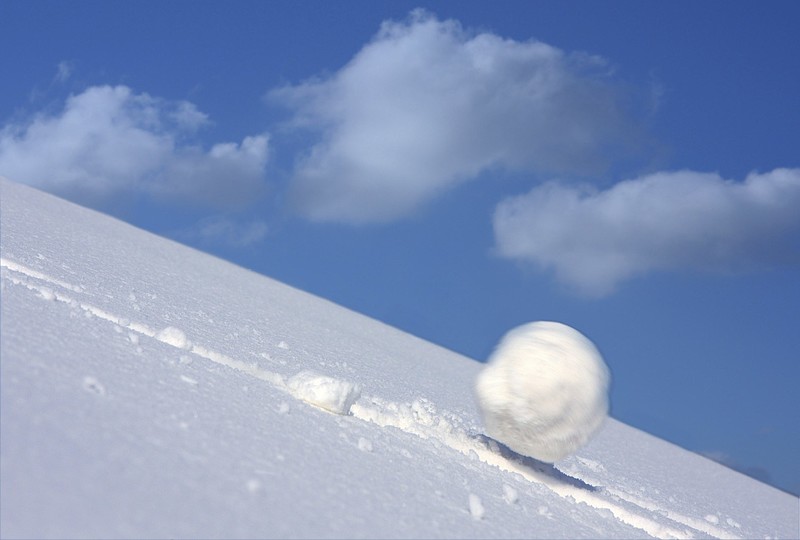 雪球,改变了我的人生——雪球7岁生日随笔