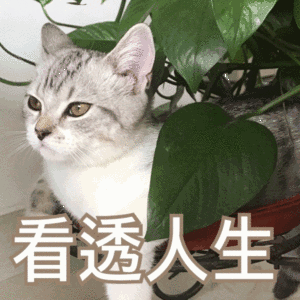 大家觉得,有哪些越早明白越好的人生道理_____.