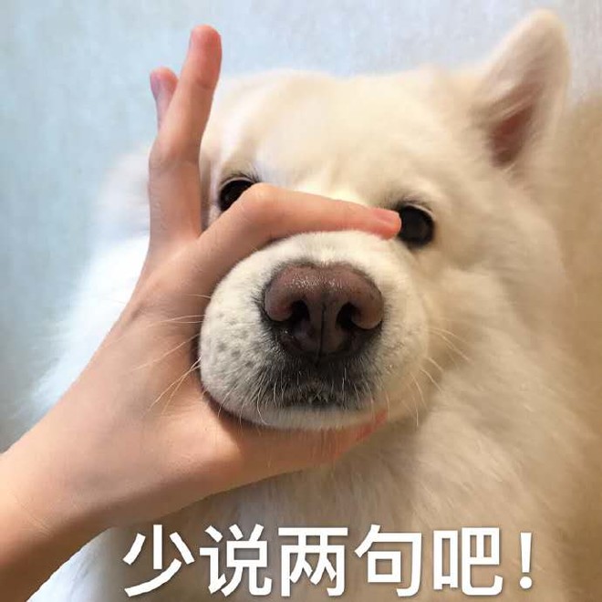 有些人的观点真的很逗.