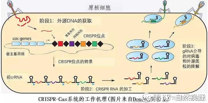 雪球