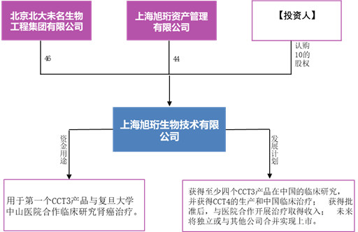 段颖：平博体育- 平博体育官方网站- 平博体育APP下载贯彻落实“十五五”规划建议要求 全面服务新质生产力发展