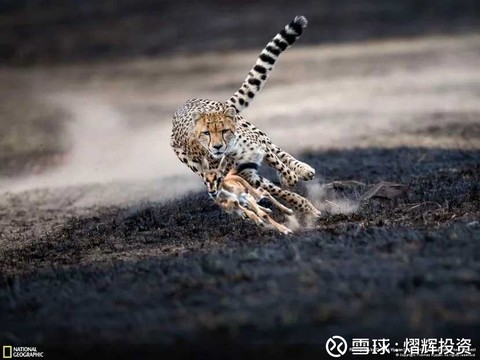 熠辉投资: 科创板证券交易1、个人投资者需要