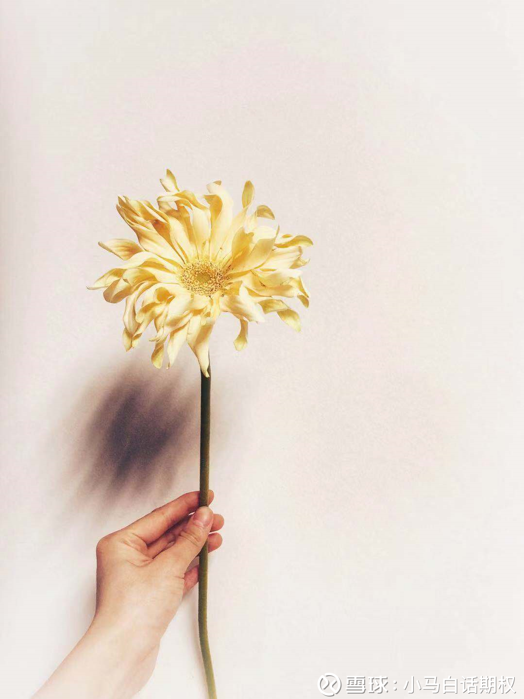 小白入门之期权试水（1）模拟和开户做好上述准备后，就可以联系你的证券公司或期货公司模拟和开户，50ETF期权模拟要6笔不同方向的交易，商品...