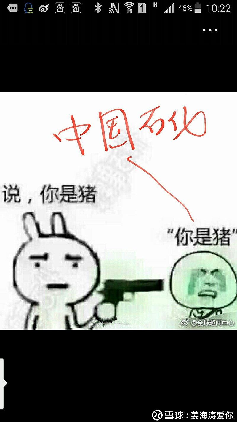 $中国石化(sh600028)$ 有人说一只猪在那个位置啥