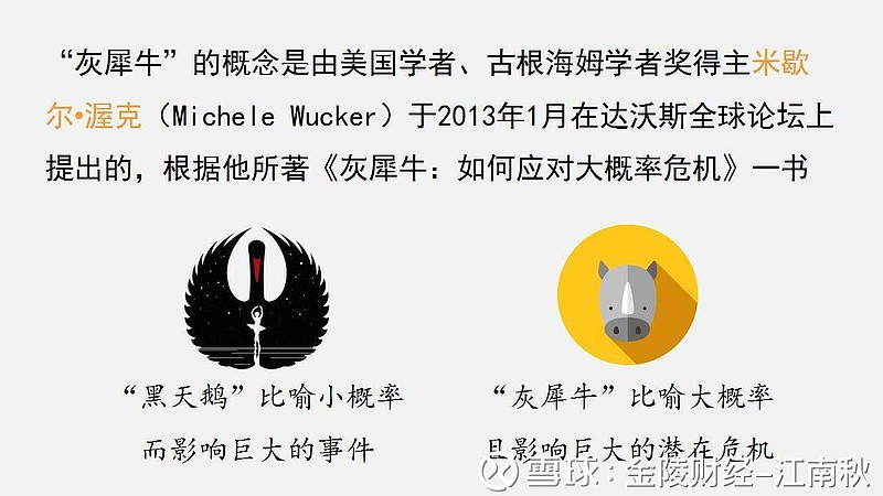 【黑天鹅与灰犀牛】