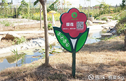 萬植通植物標牌萬植通植物養護牌植物園新寵