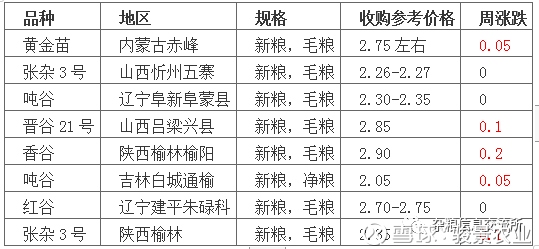 探索大同杂粮的独特魅力与未来发展