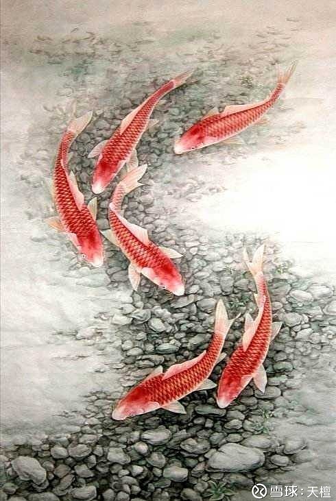 正月初六送你六条鱼祝六六大顺年年有鱼喜欢的点赞