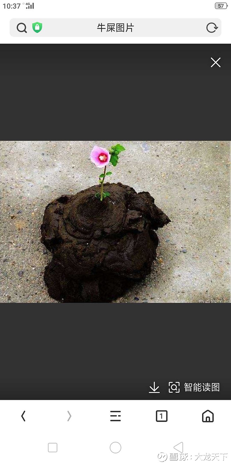 $海正药业(sh600267)$ 海正是屎,咱们常年拿海正的小散就像是生长在屎