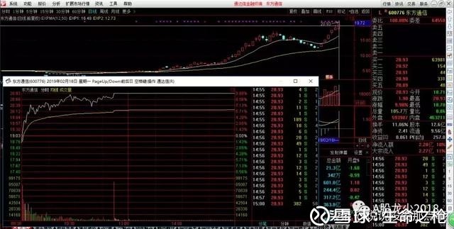 生命之枪: 该股赵老哥9000万封板,强势股反抽,
