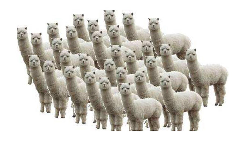 $贝瑞基因(sz000710)$ 千军万马 - 雪球