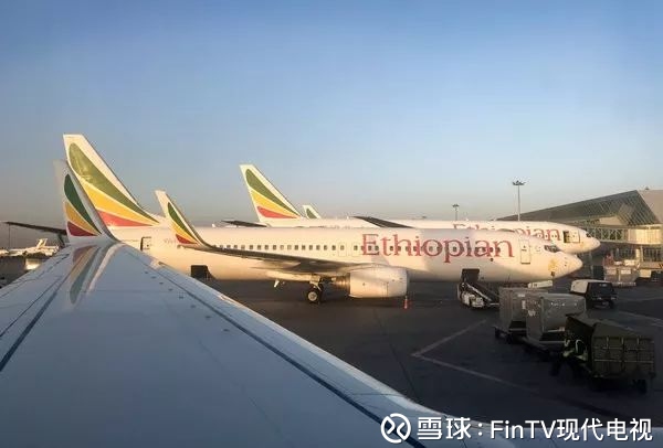 埃航客机坠毁无人生还,国内停运波音737MAX客机