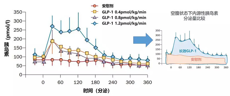 另一方面长效glp-1受体激动剂主要控制空腹血糖,对餐后血糖影响较小