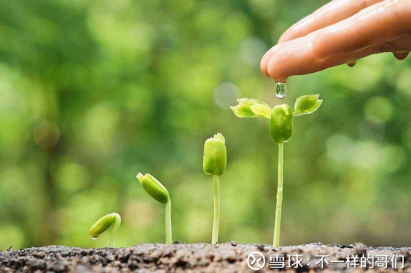 春天来啦,冬天播的种子也开始发芽啦!