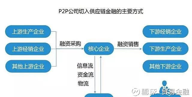 上海贸易公司的活力与挑战：行业动态分析