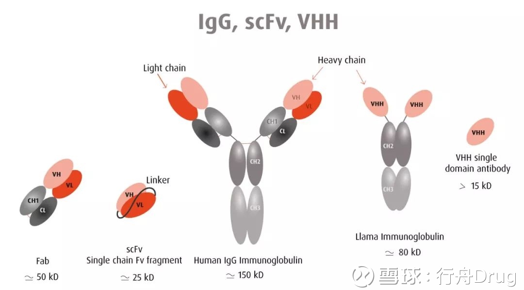 纳米抗体药物