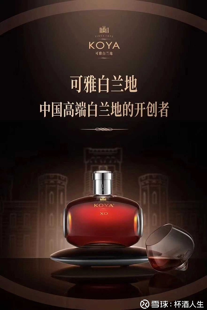 可雅桶藏15年XO，荣获DB“2019年全球白兰地XO盲品赛”冠军 2019年3月在德国杜塞尔多夫市举办的全球白兰地XO盲品赛，或许具有里程碑 ...