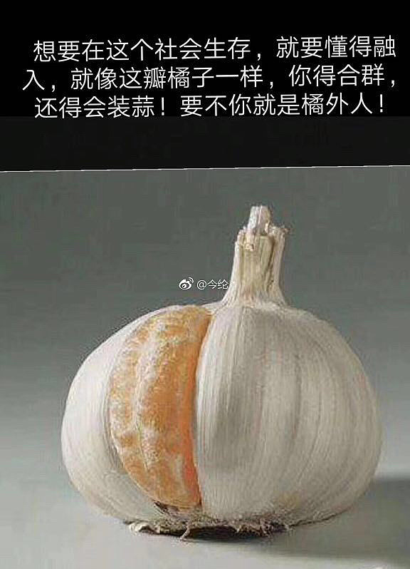 作者:
