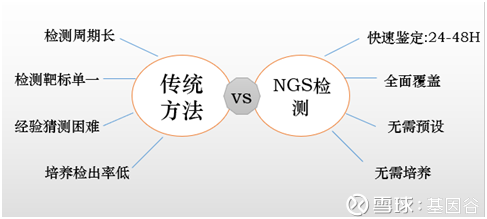 诺瀚康医学检验实验室ngs测序技术 临床感染测序分析通过呼吸道 消化道 粘膜 血液以及自身正常菌群失调等引起的各种健康损害称之为病原微生物 病原微生物 种类繁多 且会出现迅速