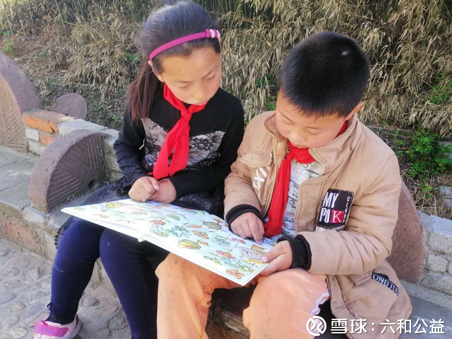 提问 / 上文配图 6