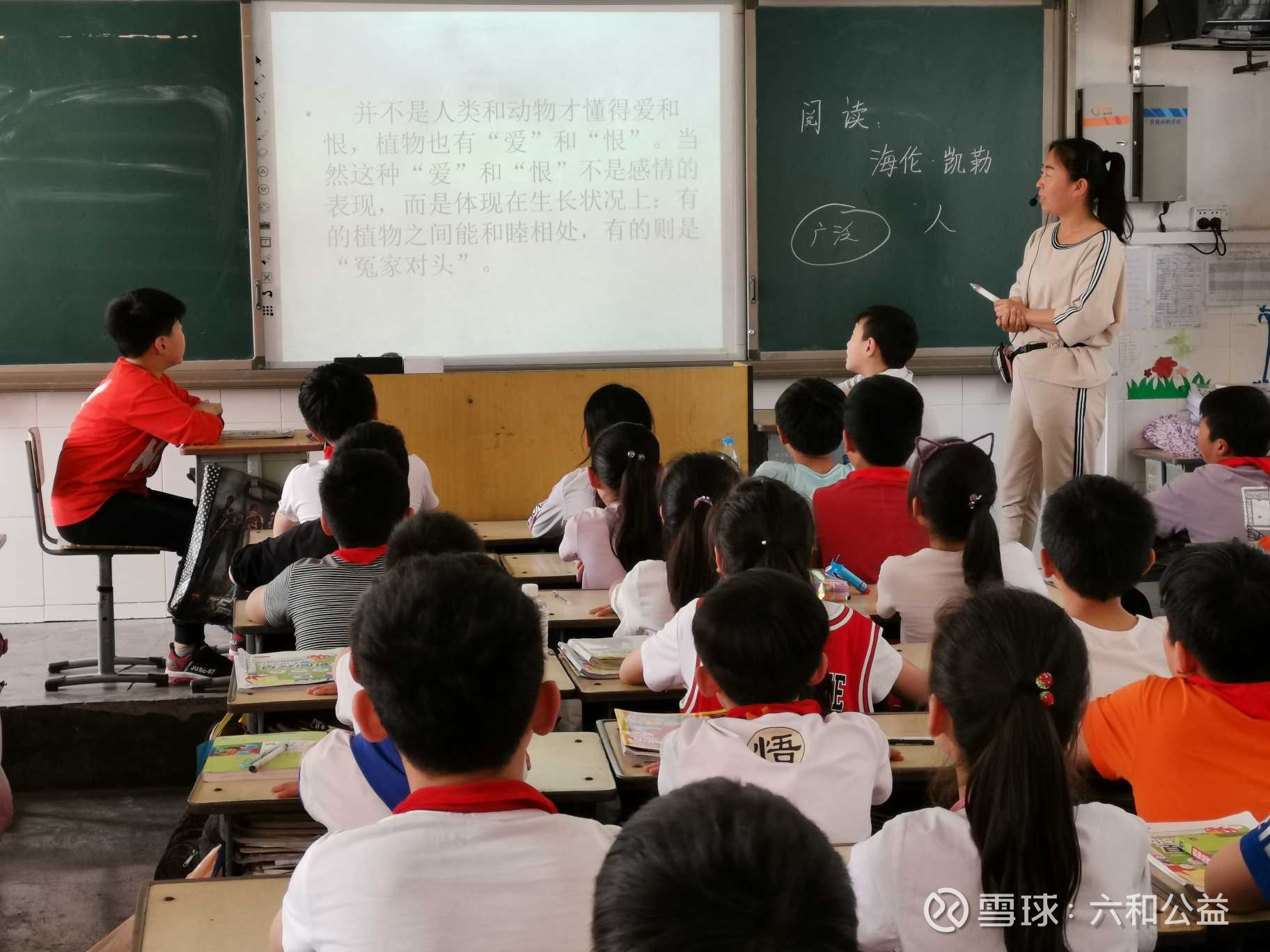 提问 / 上文配图 5
