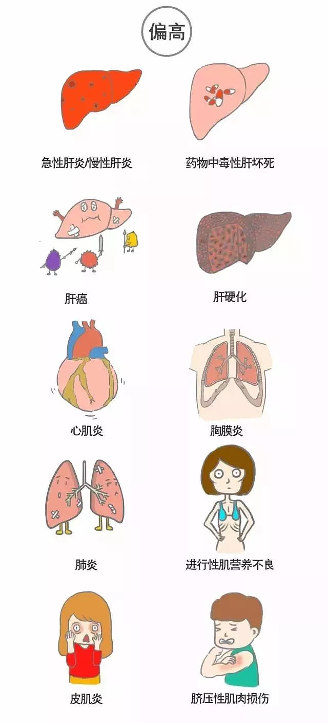 肝功能损害 xueqiu.com