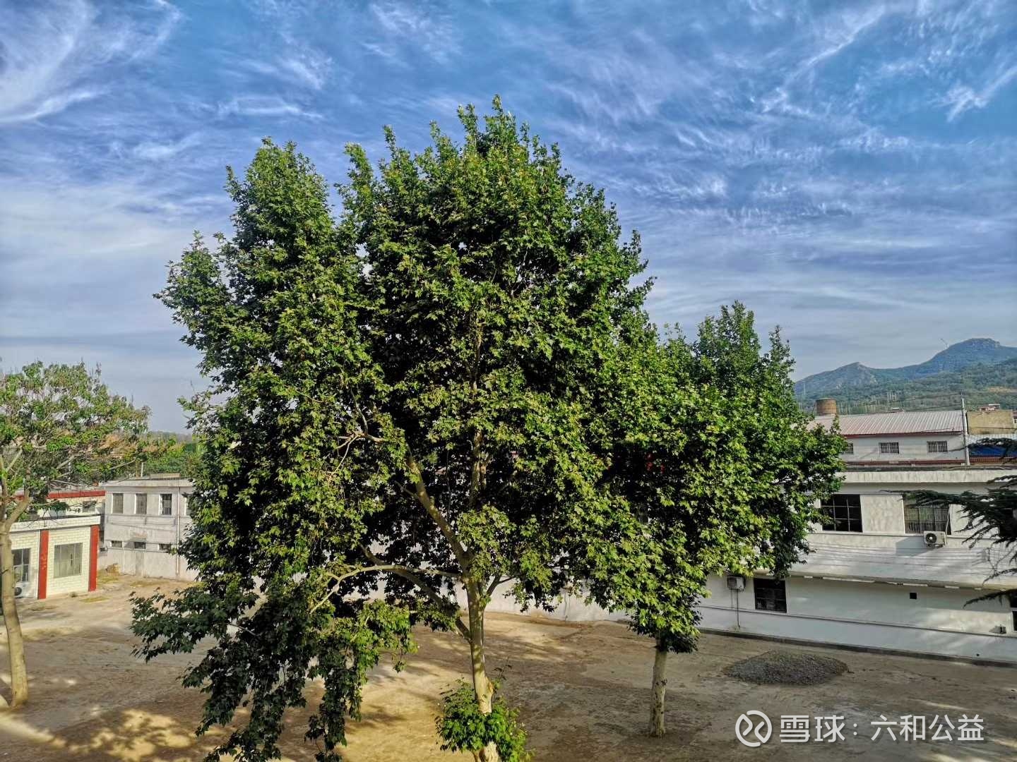 提问 / 上文配图 9