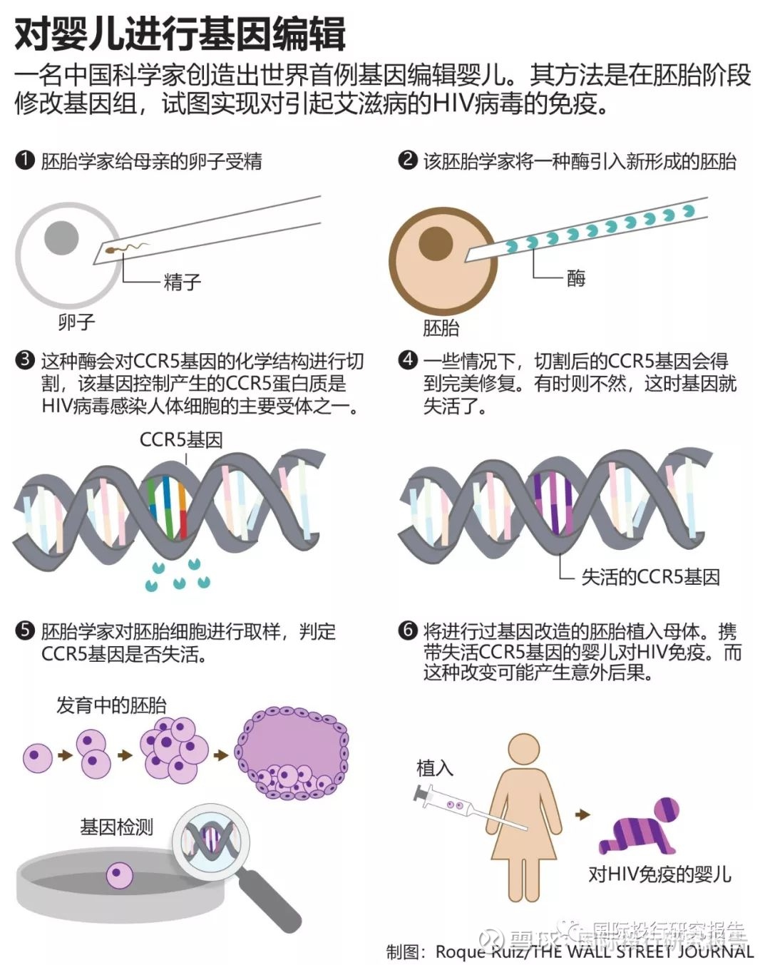 贺建奎传奇 第二个基因编辑宝宝即将出生第一对基因宝宝露露和娜娜无消息贺建奎违规创造首例基因编辑婴儿始末为了国家荣耀 以及为了解决艾滋病夫妻在中国承受不公平待遇的问题 贺建奎秘密进行了改造