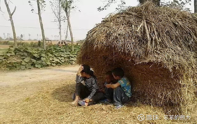 二十年前割麦的童年(看哭了) 二十年前,中国农村几乎还没有自动收割机
