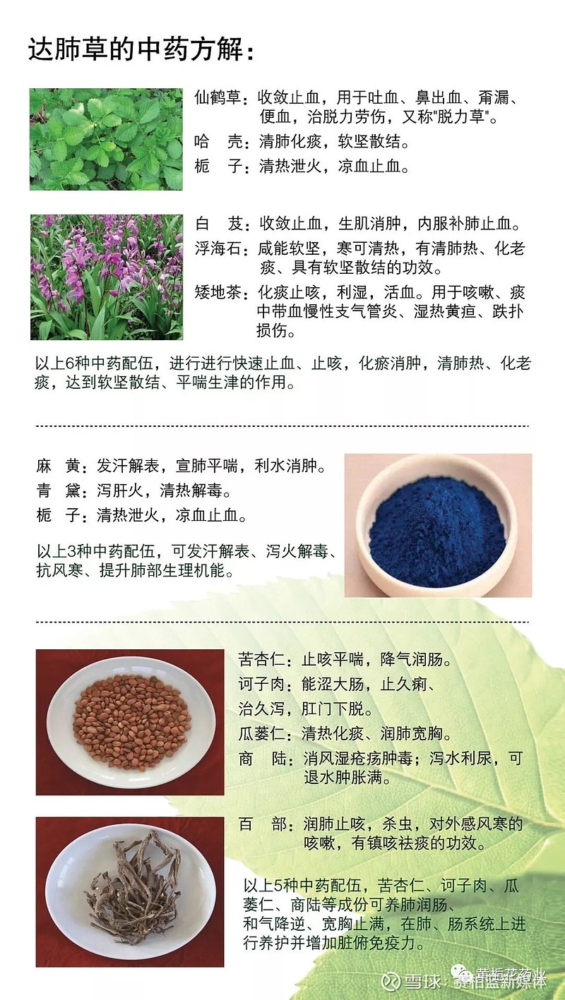 达肺草方解2剂型独特,吸收快,迅速发挥药效:散剂剂型,每袋36g(粗粉12g