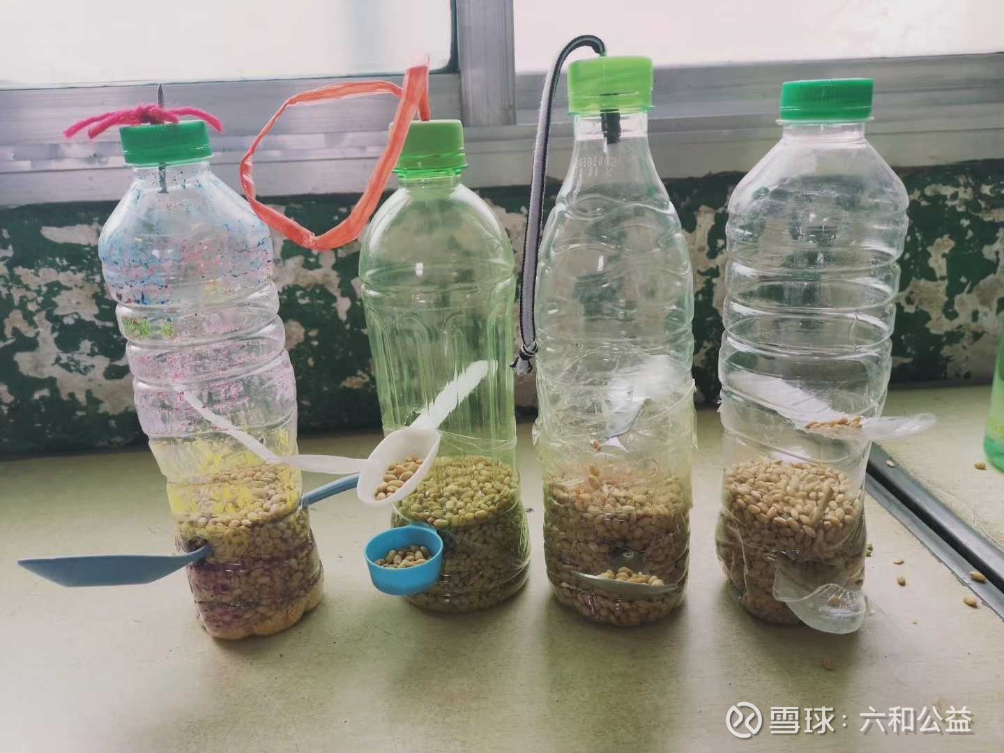 提问 / 上文配图 4