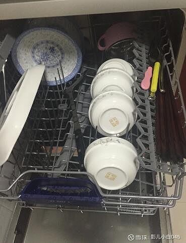 怎么没有专门生产洗碗机的公司呢