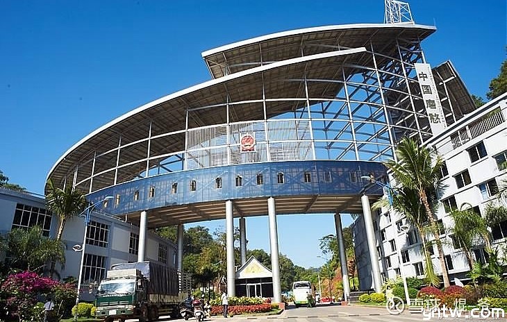 西双版纳勐腊海关 助力替代种植返销进口记者(付冬琴) 今年以来,云南