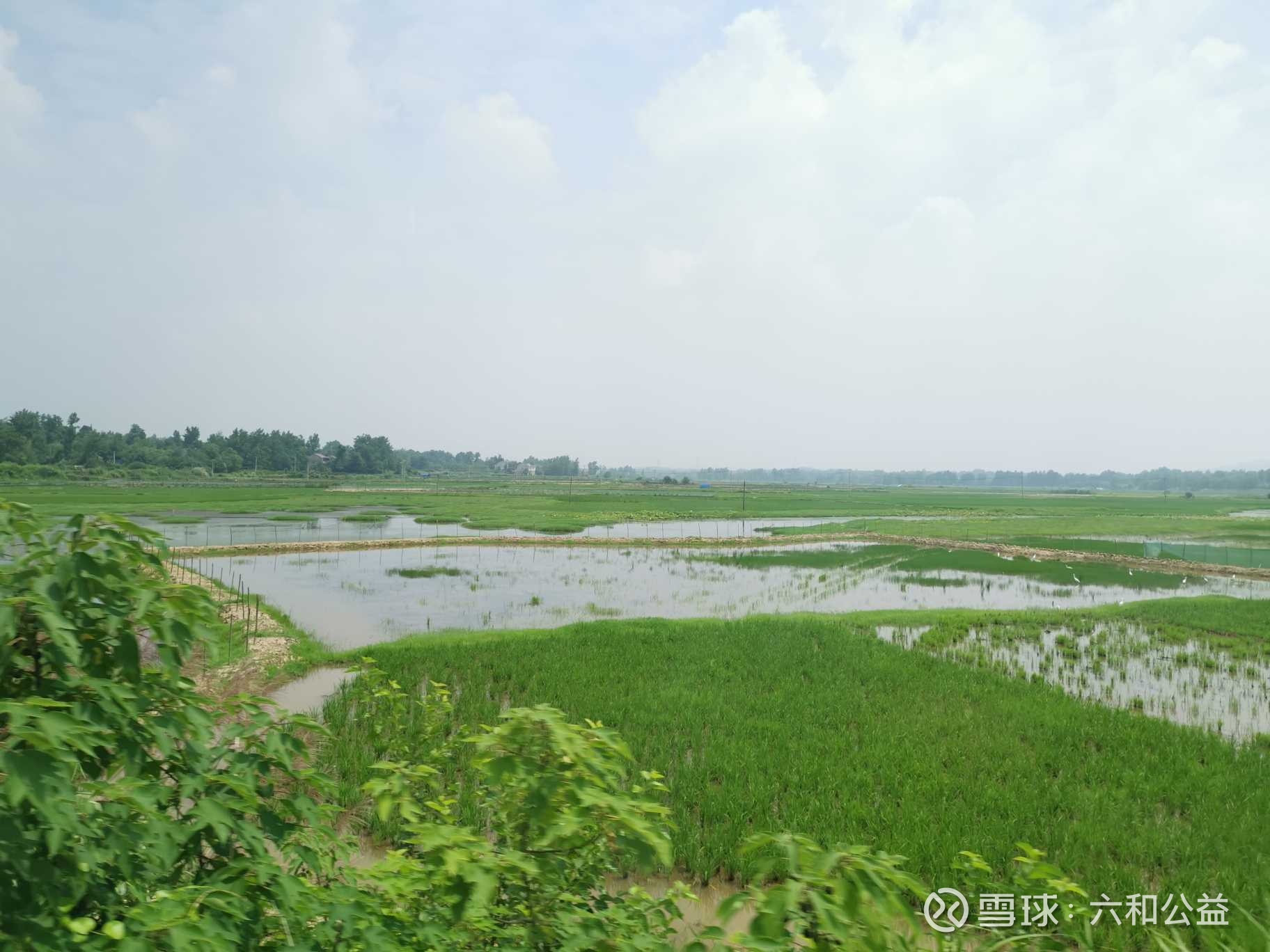 提问 / 上文配图 1