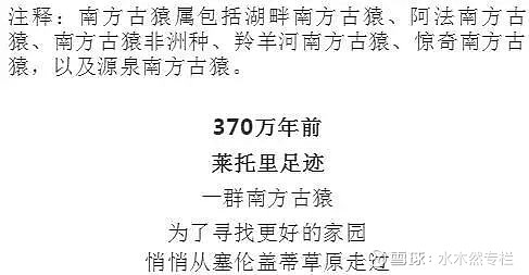 从起源到影响：欧洲杯与世界杯对足球世界的影响比较