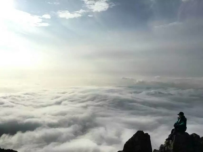 养猪行业研究:得母猪者得天下
