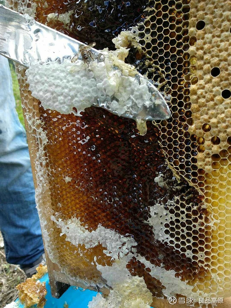 把做了个小实验，将蜂蜜放在三种