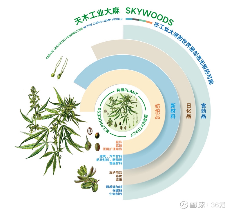 大麻二酚（CBD）在健康领域的最新动态