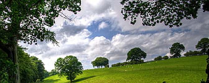 去年此时,广信贷宣布获得了b轮融资,而经过一年的时间,如今的现状如何