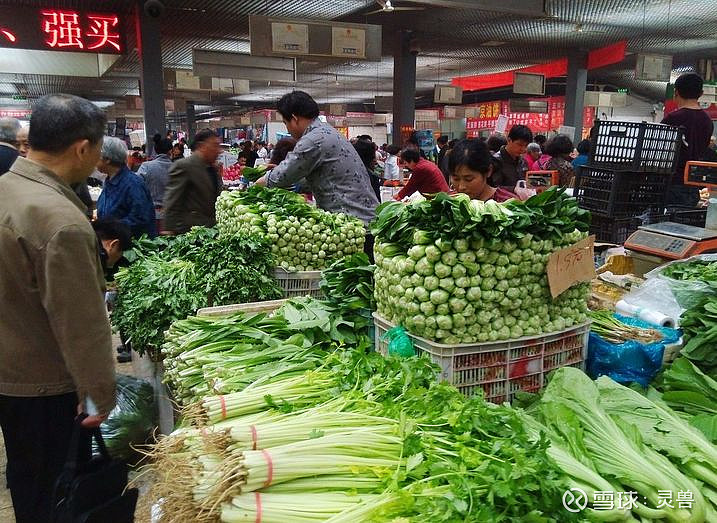 賣菜者說 靈獸按誰在取代傳統菜市場?