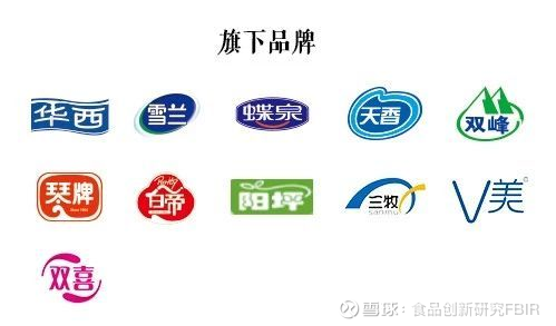 商贸批发：新时代下的繁荣与挑战