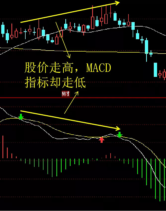 8月5日趋势第一指标macd