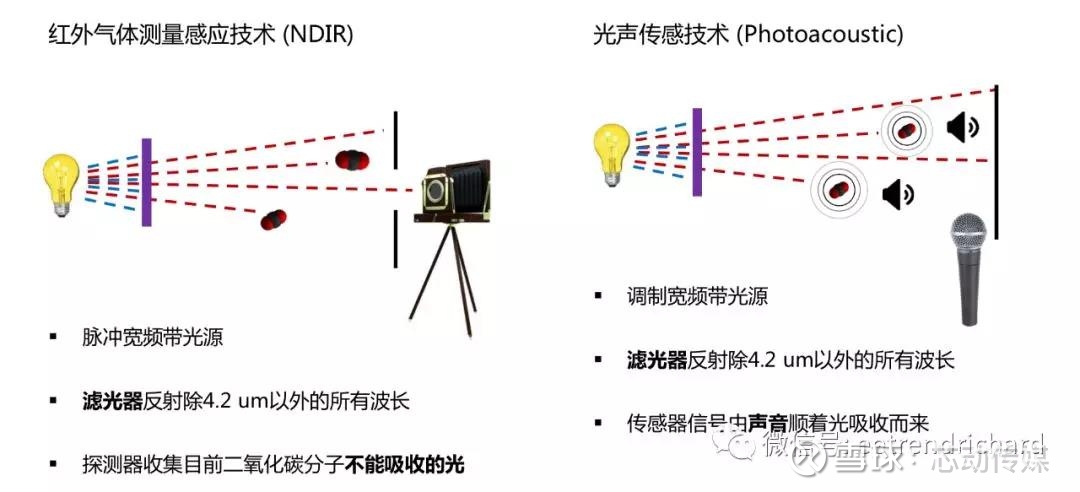 yy.vip易游-typecontent