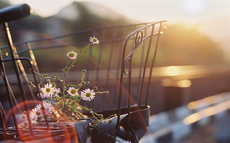 为了青春,干杯 盛夏的午后异常闷热,知了仿佛有着无尽的精力,在树上