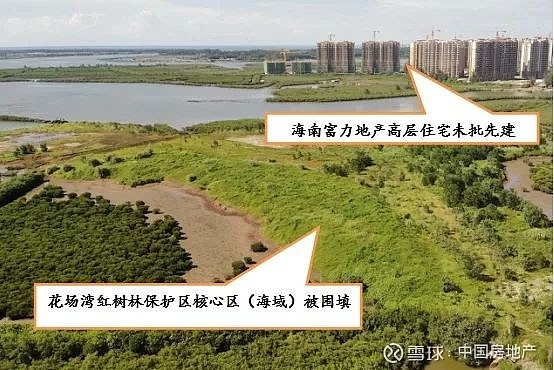 第一建闻再遭通报富力红树湾停售处罚背后
