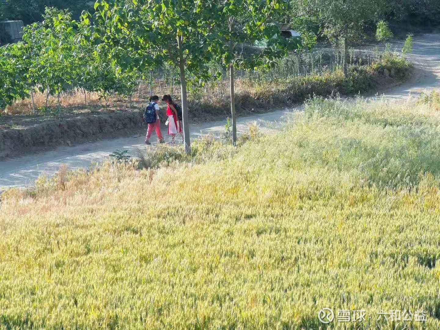 提问 / 上文配图 1