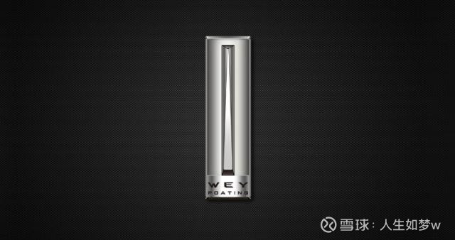 66万漏油款奔驰女车主再提新车!国产SUV!2.0