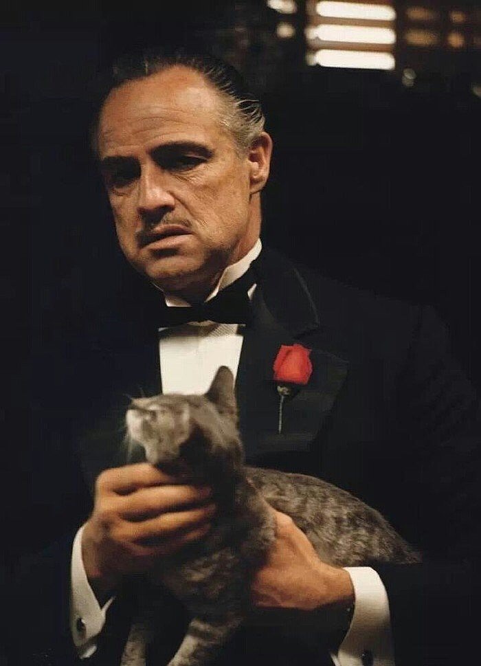 花半秒钟就看透事物本质的人 和花一辈子都看不清事物本质的人 注定是截然不同的命运 教父